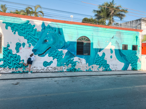 bacalar-24012023-IMG_6228