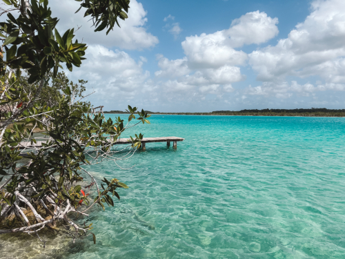 bacalar-25012023-IMG_6478