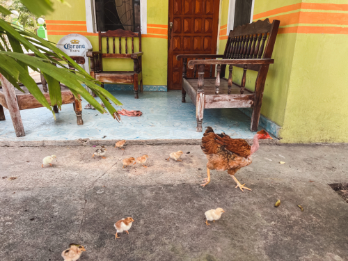 bacalar-31012023-IMG_7235