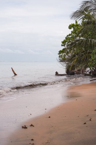 cahuitanationalpark-20230228-112826-DSC01491
