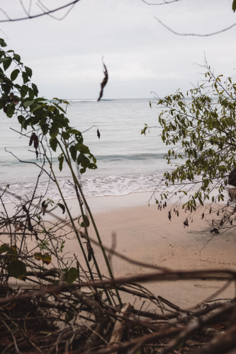 cahuitanationalpark-20230228-113110-DSC01495