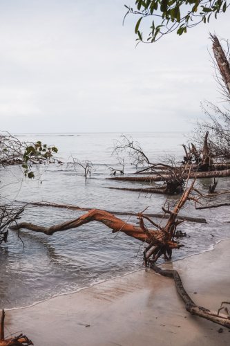 cahuitanationalpark-20230228-113513-DSC01499