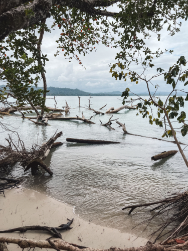 cahuitanationalpark-20230228-132546-IMG_9421