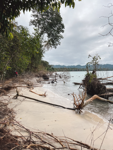 cahuitanationalpark-20230228-134324-IMG_9449