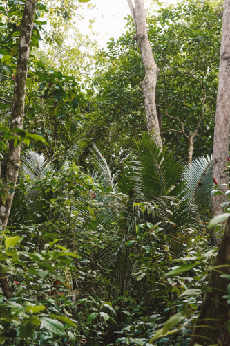cahuitanationalpark-20230228-141921-DSC01521
