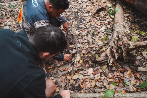 calakmul-27012023-DSC09054