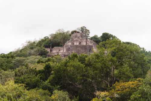 calakmul-27012023-DSC09188
