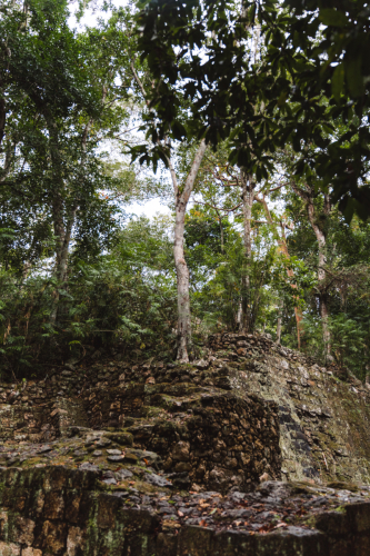 calakmul-27012023-DSC09236