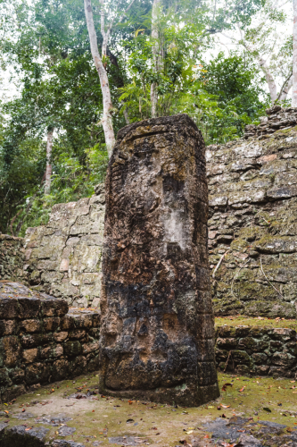 calakmul-27012023-DSC09237