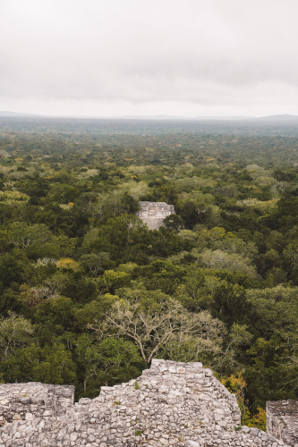 calakmul-27012023-DSC09250