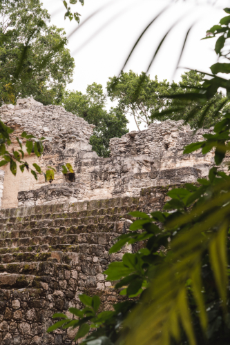 calakmul-27012023-DSC09266