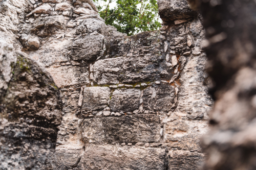 calakmul-27012023-DSC09291