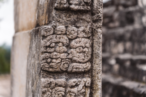 calakmul-27012023-DSC09323