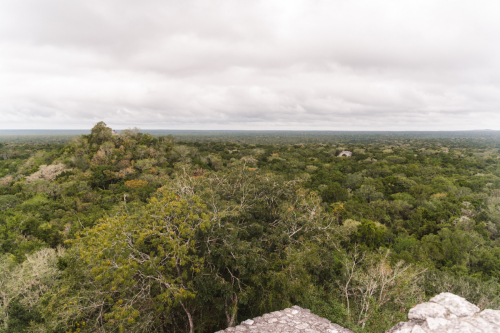 calakmul-27012023-DSC09345