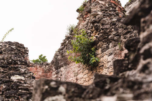 calakmul-28012023-DSC09409