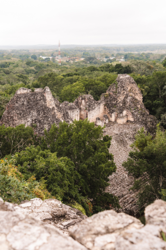 calakmul-28012023-DSC09495