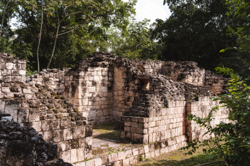 calakmul-28012023-DSC09534