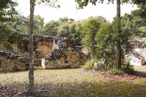 calakmul-28012023-DSC09549