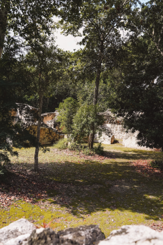 calakmul-28012023-DSC09550