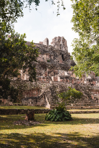 calakmul-28012023-DSC09579
