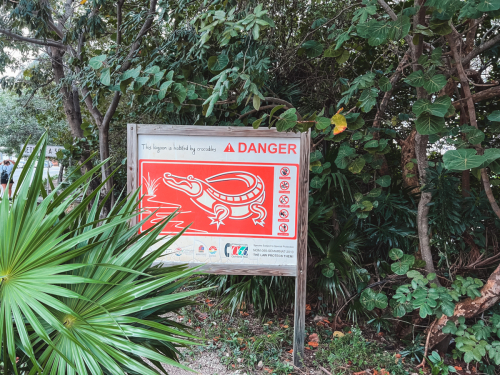 cancun-20230205-IMG_7479