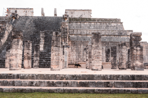chichenitza-20012023-DSC08580