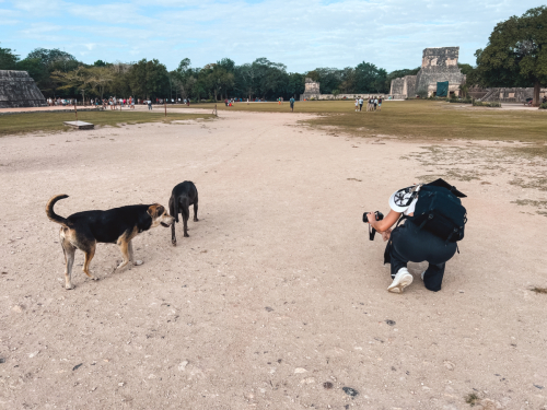 chichenitza-20012023-IMG_5771