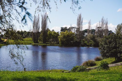 hobbiton-20230409-213503-DSC06006