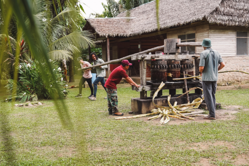 jungletour-20230308-085526-DSC01939