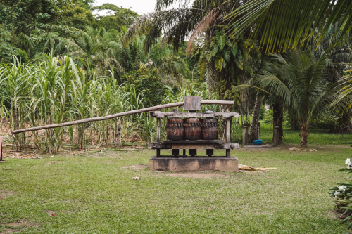 jungletour-20230308-090637-DSC01947