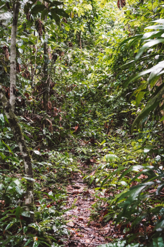jungletour-20230309-100519-DSC02019
