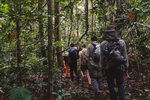 jungletour-20230309-101847-DSC02060