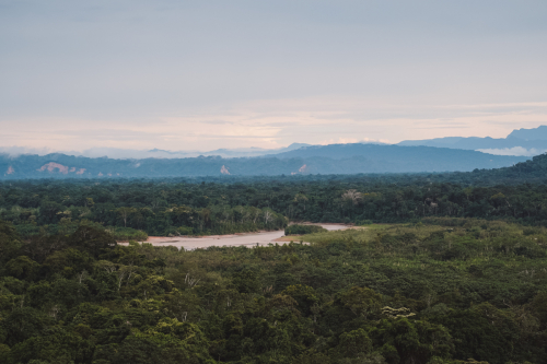 jungletour-20230309-150511-DSC02215