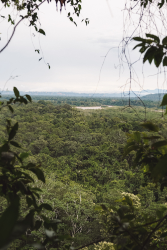 jungletour-20230309-152404-DSC02354
