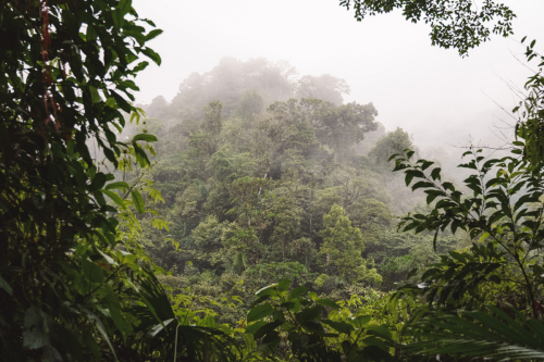 lafortuna-20230215-173029-DSC00304