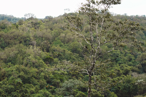 lafortuna-20230215-212714-DSC00353