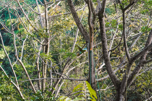 macaw-20230225-153150-DSC00857