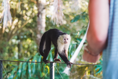 quepos-20230210-134750-DSC09808