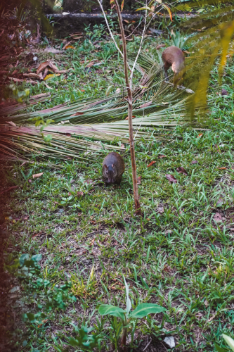 quepos-20230210-135923-DSC09838