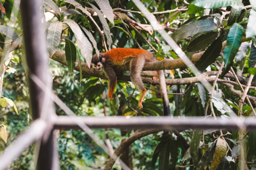 quepos-20230211-222152-DSC09875