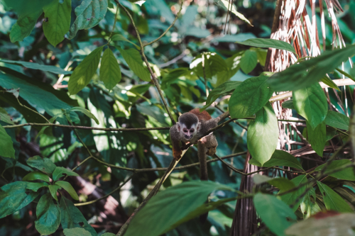quepos-20230211-223433-DSC09934