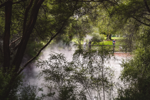 rotorua-20230411-141041-DSC06057