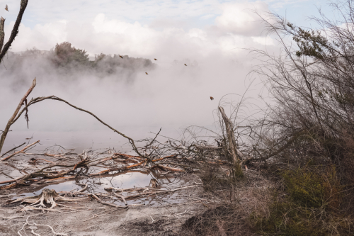 rotorua-20230411-142735-DSC06083