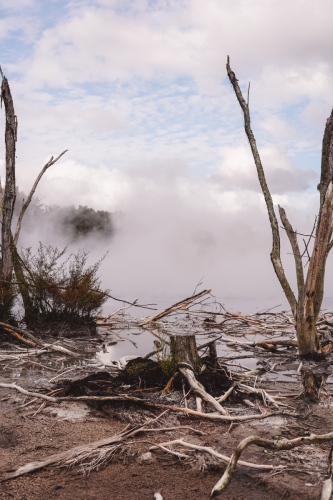 rotorua-20230411-142756-DSC06085