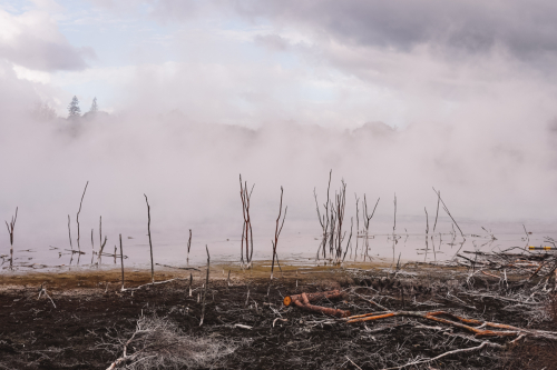 rotorua-20230411-142825-DSC06086