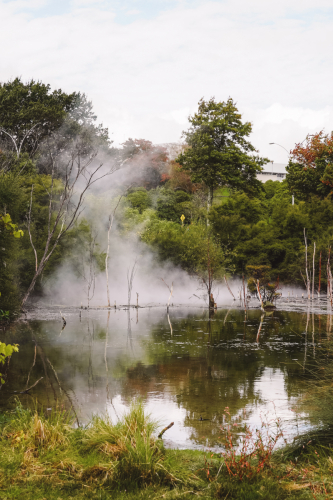 rotorua-20230411-142858-DSC06087