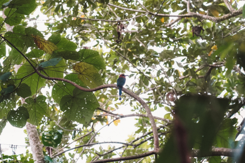 sloths-20230216-230845-DSC00567