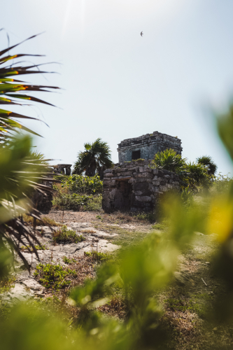 tulum-01022023-DSC09593