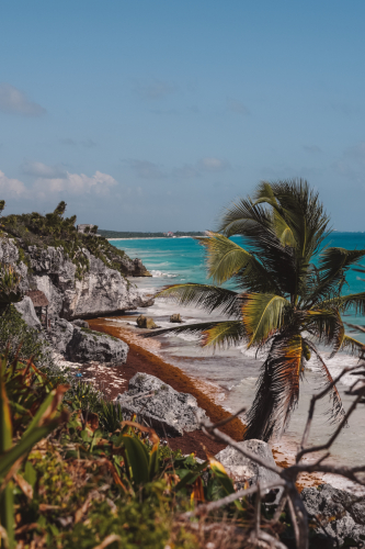 tulum-01022023-DSC09638