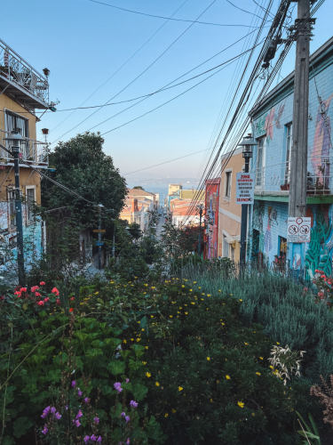 valparaiso-20230401-182658-IMG_1442